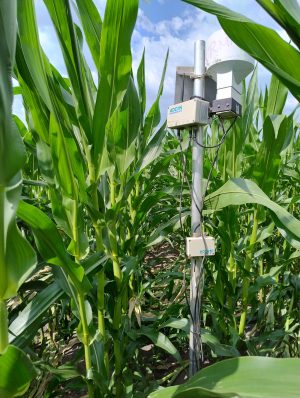 IMG_20250623_103138961_HDR